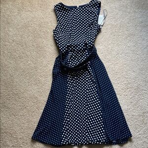 NWT Danny & Nicole Polka Dot Sleeveless Dress